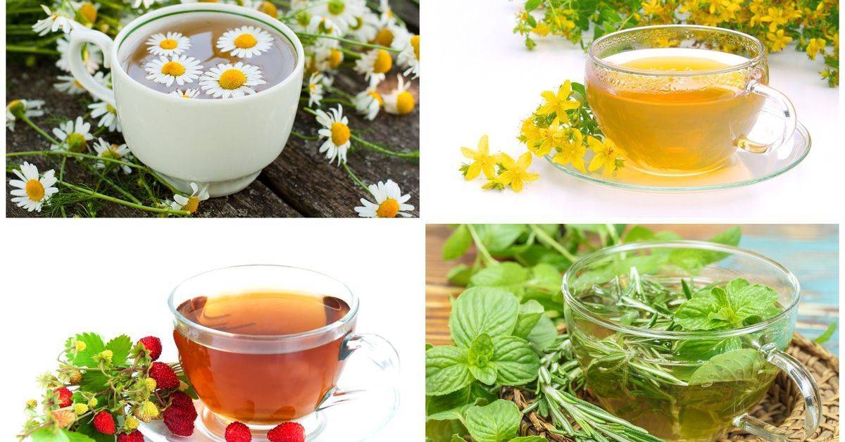 Какой чай пить при простуде: 16 рецептов | кто?что?где?