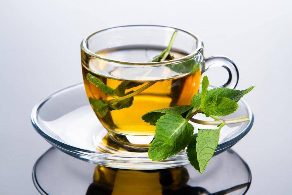 Чай из мяты: польза и вред, 8 рецептов мятного напитка, как заваривать