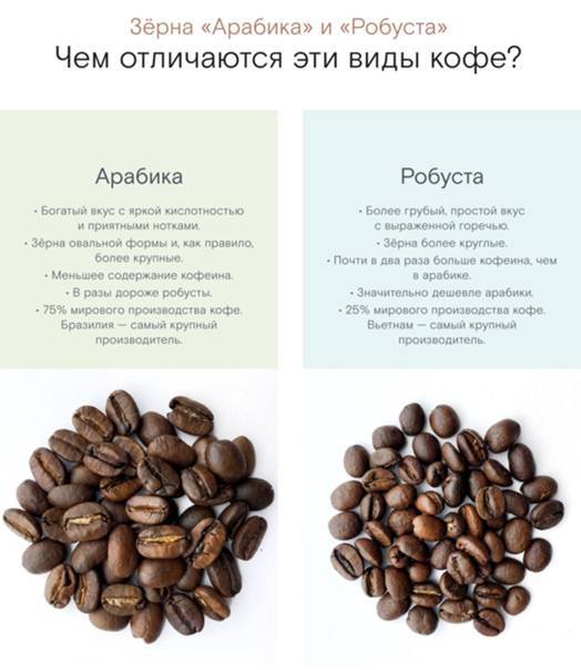 Какой кофе лучше арабика или робуста | vodaplus.ru