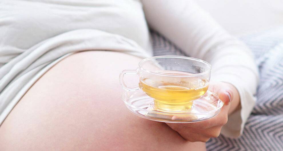 Чай из ромашки при беременности: польза и вред напитка