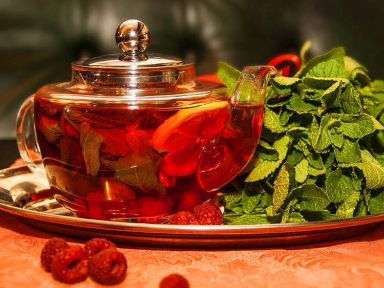 Чай с калиной: полезные свойства, 6 рецептов заваривания, вред и противопоказания