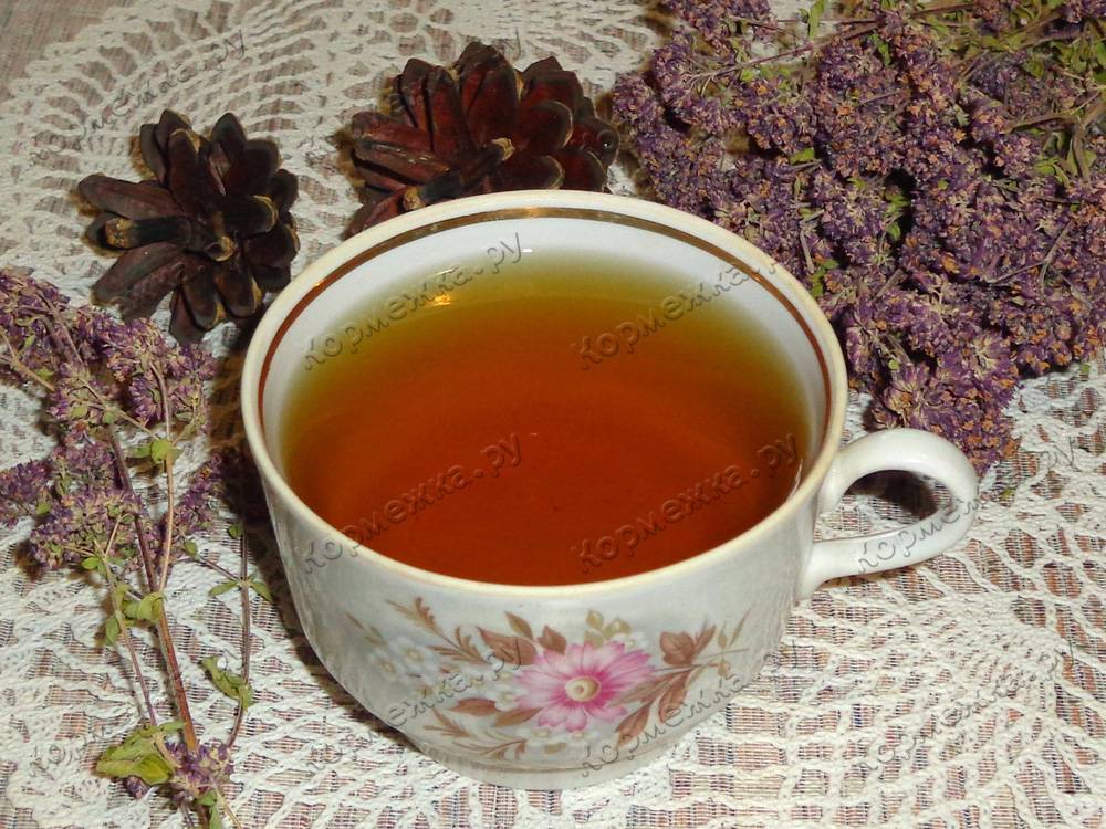 Полезные свойства чая с душицей и рецепты приготовления