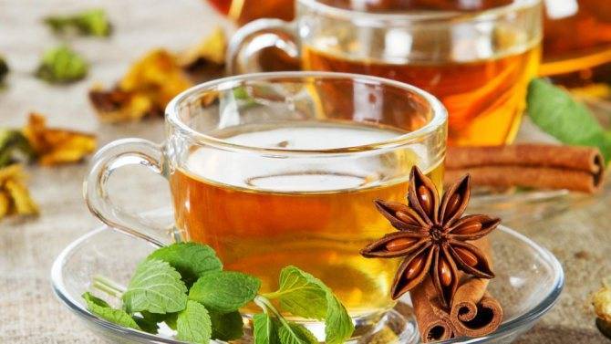 Лучшие рецепты травяных чаев от кашля