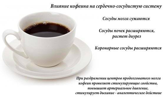 Кофе: давление понижает или повышает, как влияет на пульс человека