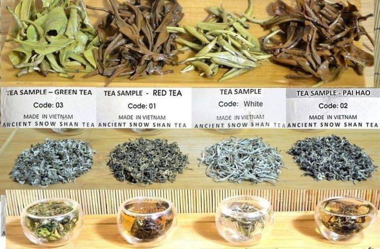 Вьетнамский чай: виды, искусство заваривания