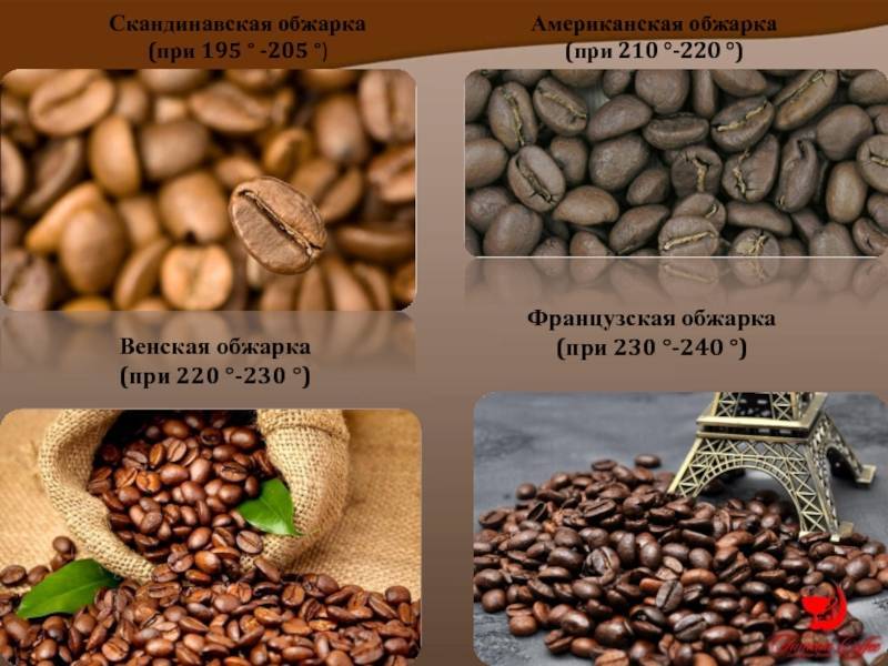 Обжарка кофе: особенности, виды и степени.
