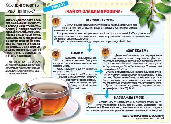 Чай из листьев вишни: польза и вред ферментированного, когда лучше собирать, как сделать, заготовить, приготовить своими руками