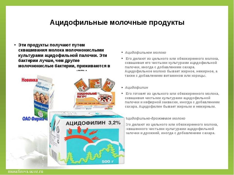 Ацидофилин: польза и вред. кисломолочный продукт :: syl.ru