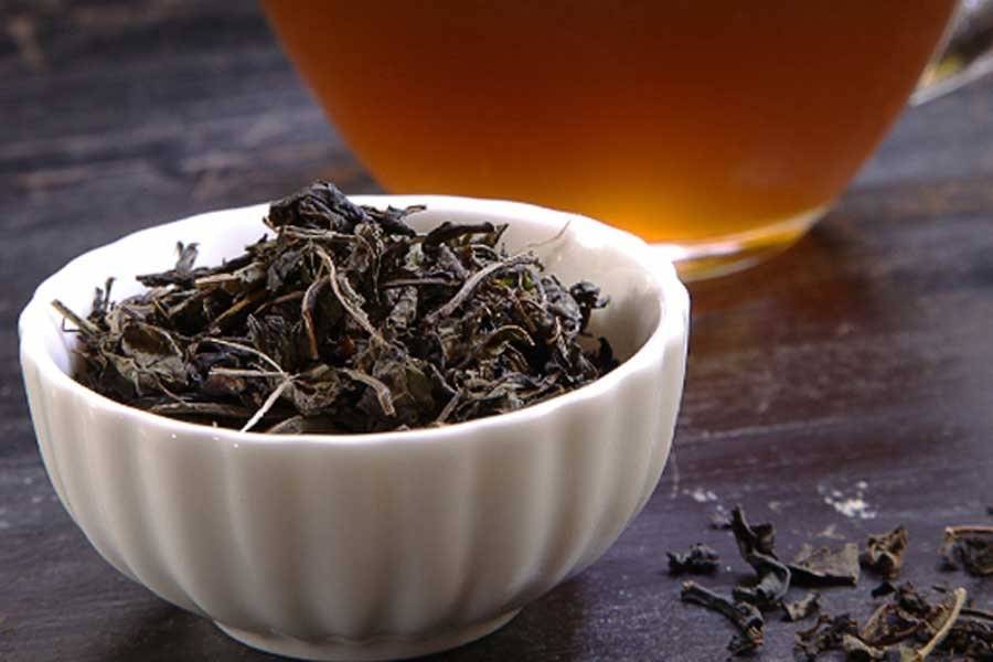 Чай из бадана: его польза и вред, рецепты приготовления