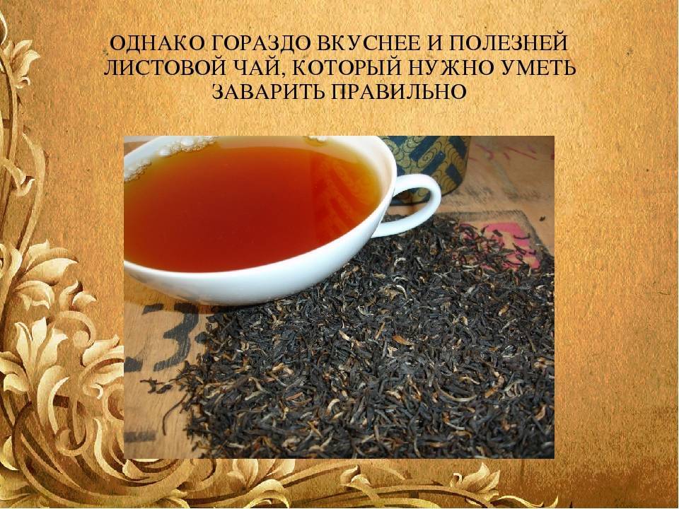 Иван-чай польза и вред для здоровья. копорский чай. видео.