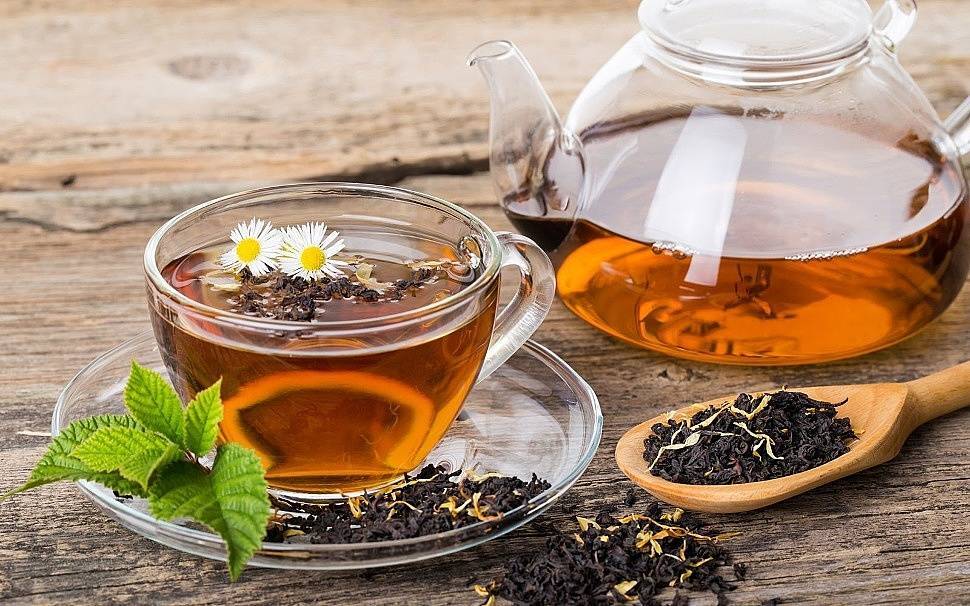 Зеленый чай ханибуш: польза, как заваривать напиток