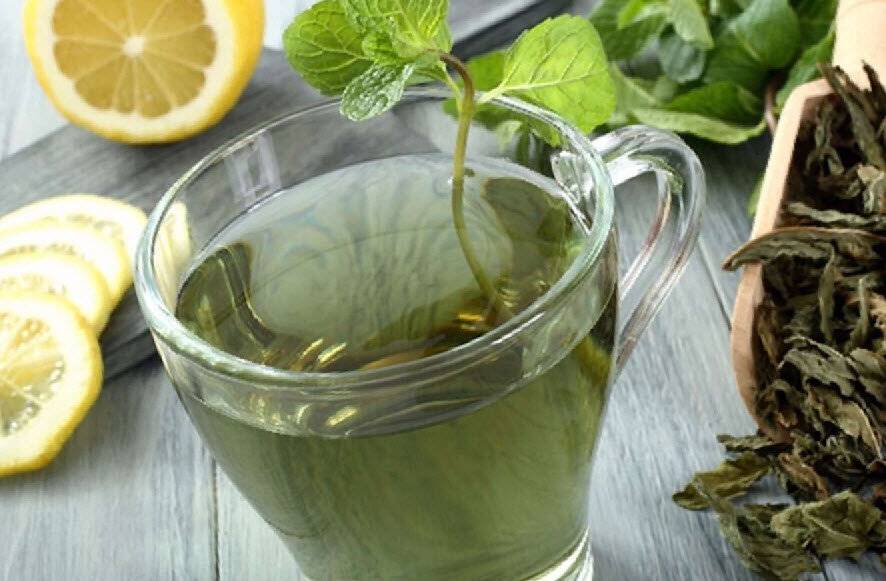 Зеленый чай для похудения: отзывы, рецепты с лимоном на ночь