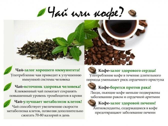 Кофе с чаем - вкусно ли, рецепты, можно пить или нет
