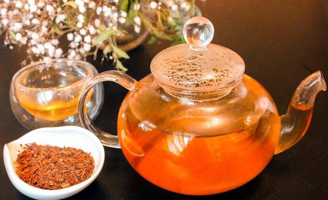 Чай с барбарисом – польза со вкусом