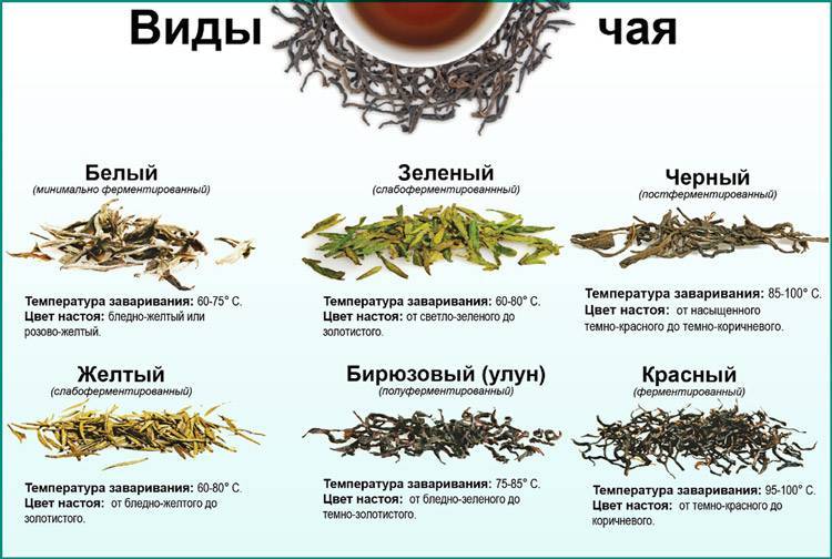 Какой чай полезней для мужского здоровья? чай для потенции