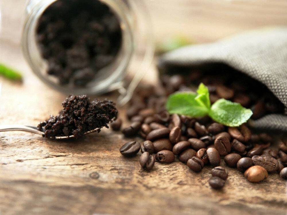 Кофе и кофейная гуща как лучшая подкормка для комнатных растений