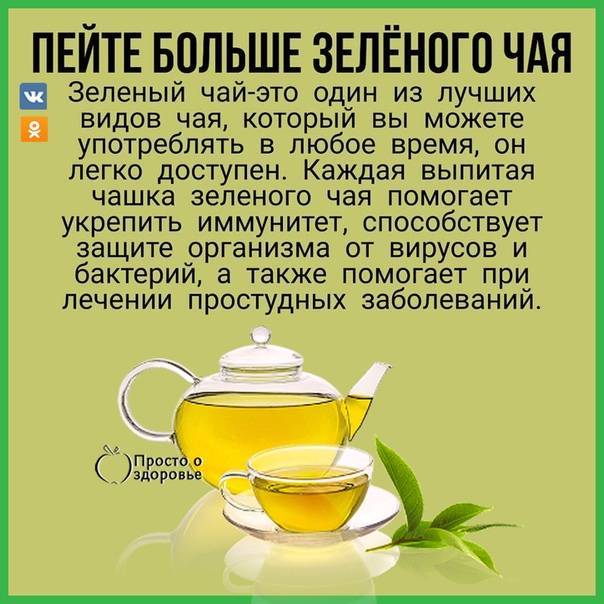 Зеленый чай на ночь польза и вред | чайкофский