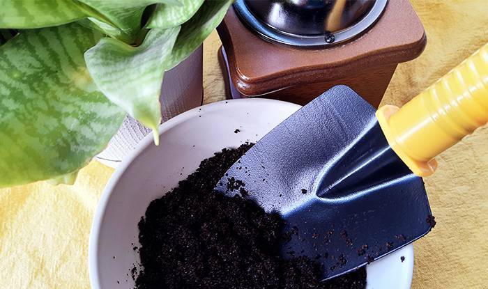 Кофейная гуща как удобрение, применение в саду и в домашних условиях