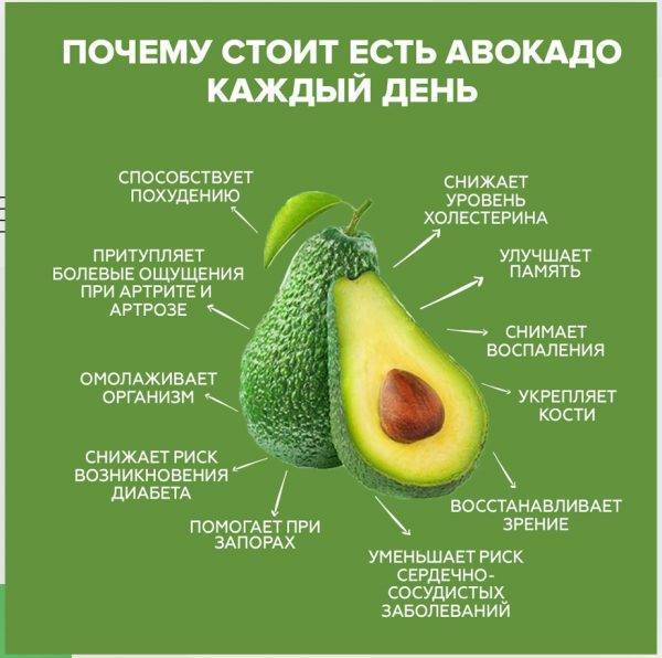 Авокадо: польза и вред для организма, как его едят