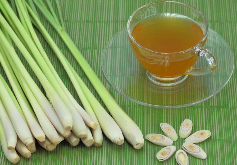 Лемонграсс — необычная пряность с цитрусовым ароматом
