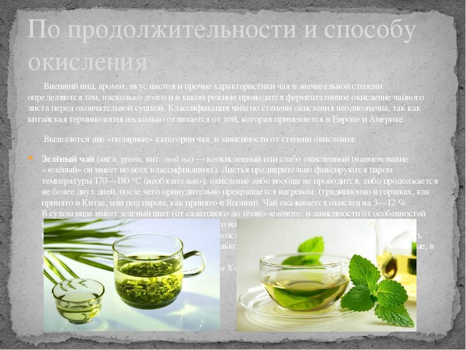 Зеленый чай сенча: что это такое - лечебные свойства японского сорта
