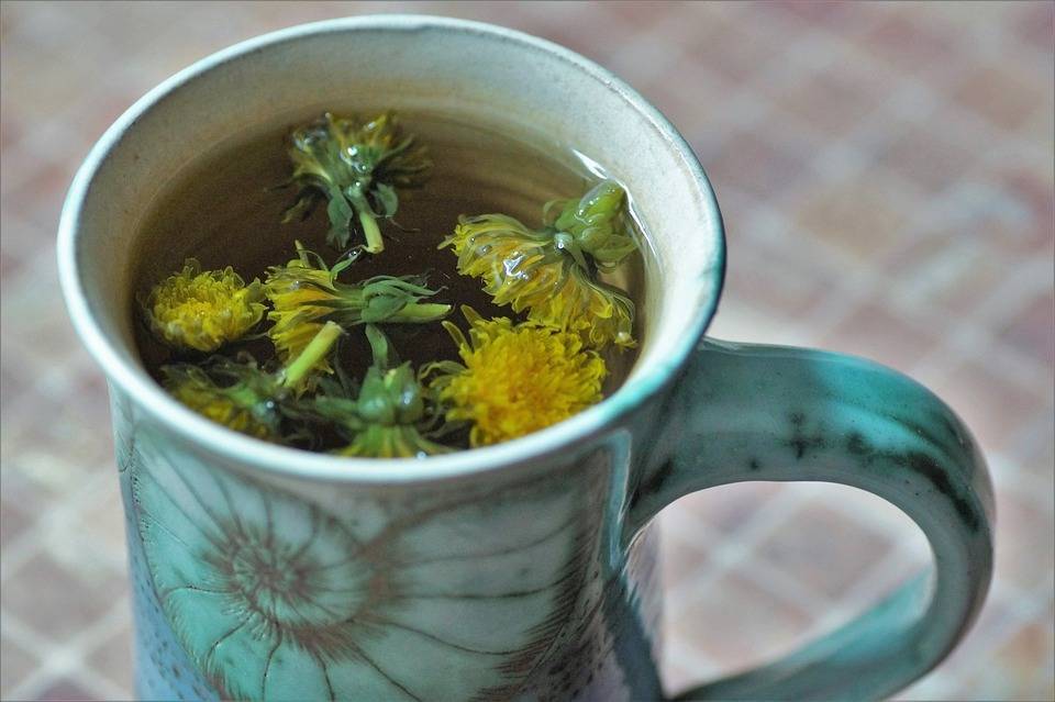 Чай из одуванчика: рецепты приготовления, польза, способы применения