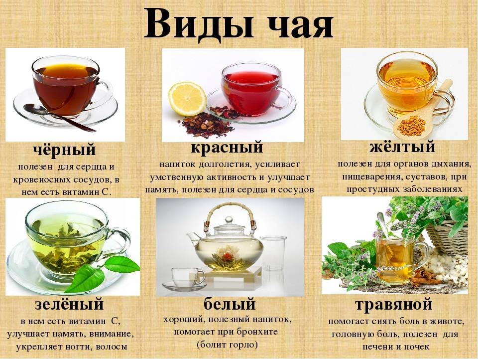 Чай сенча — описание, польза, правила заваривания