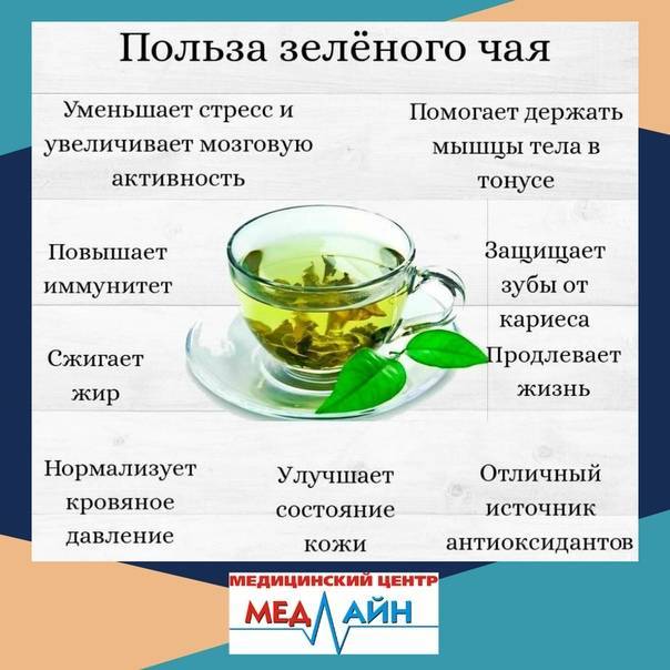Зеленый чай: польза и вред, как заваривать и пить, советы по выбору