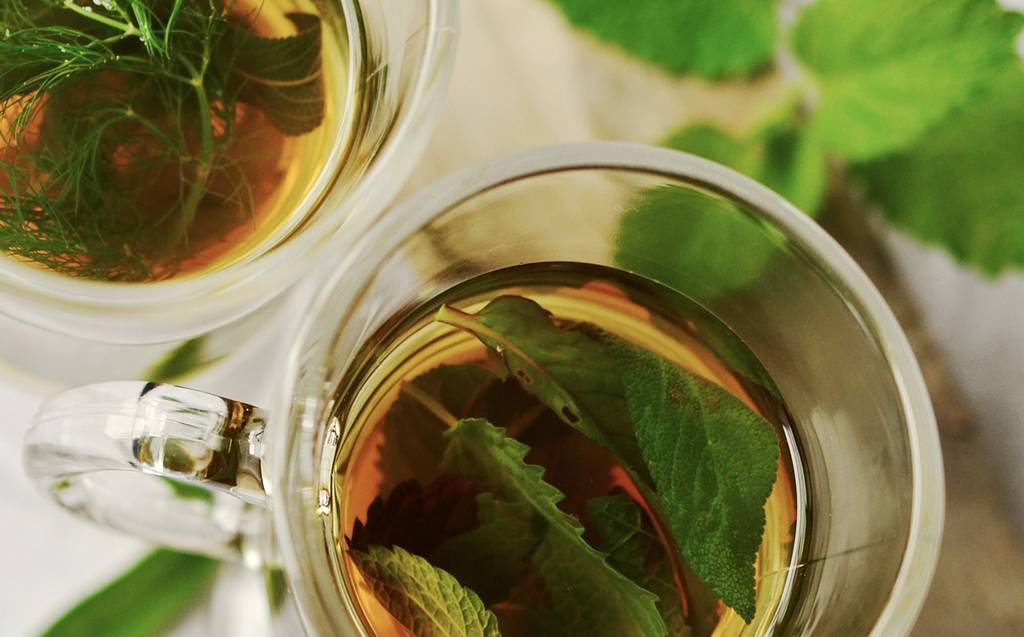 Как приготовить чай с мятой? интересные рецепты, польза и противопоказания