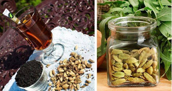 Чай с кардамоном: польза и противопоказания, рецепты чая с кардамоном