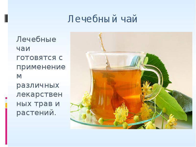 Таежный чай: состав, полезные свойства, противопоказания