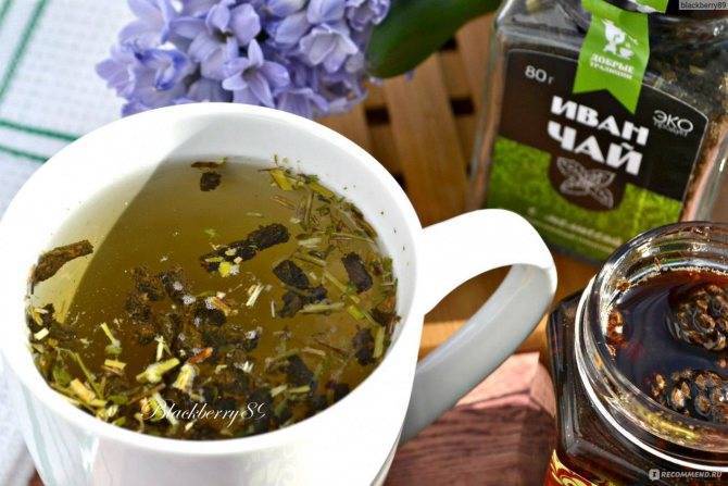 Как заваривать чай с мелиссой: полезные свойства и противопоказания напитка