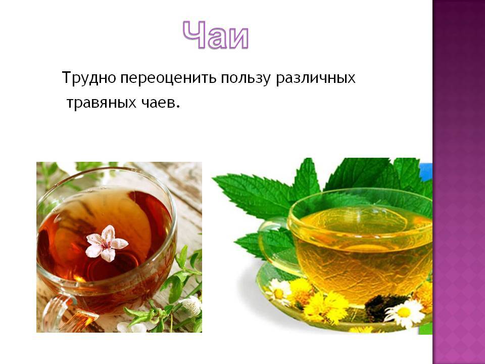 Польза и вред  фиточая, травяных чаёв | алтай чай