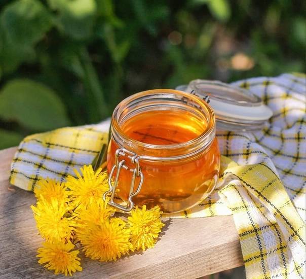 Чай из одуванчика — как пить для похудения, лечения заболеваний и повышения иммунитета