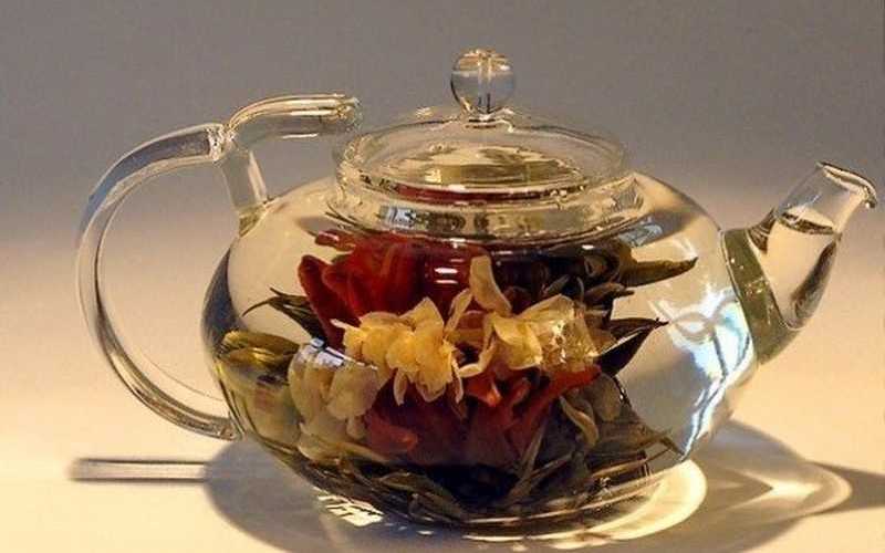 Как заваривать чай из лотоса: чем полезен
