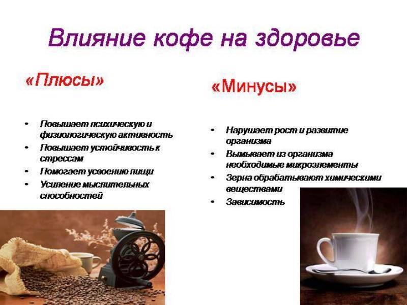 Какие напитки являются мочегонными (диуретиками): чай, кофе, сок, морс, компот, квас, молоко, кефир? - домашний очаг - медиаплатформа миртесен