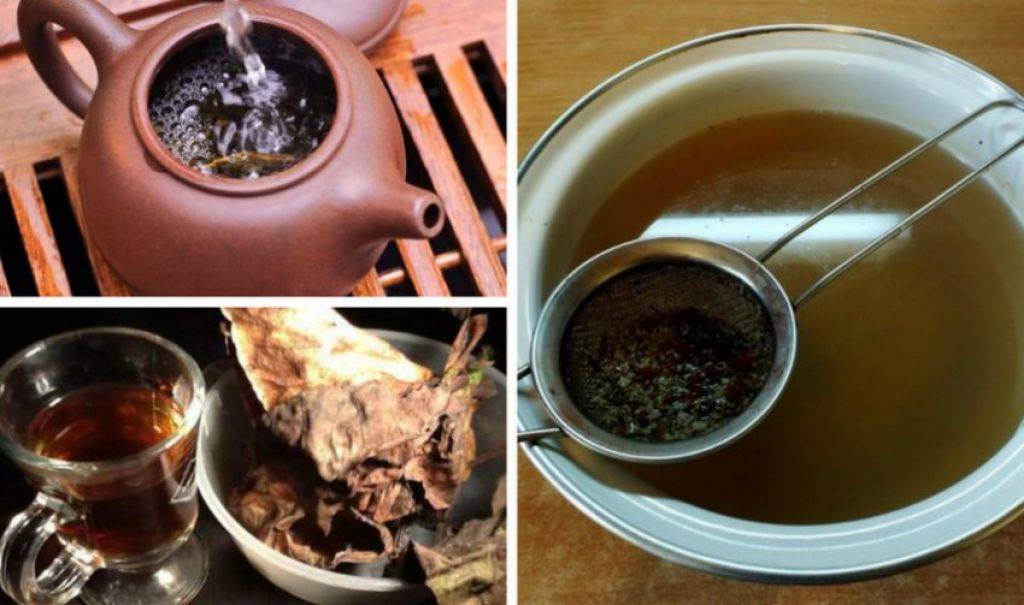 Чай из бадана: польза и вред, как правильно заваривать и пить