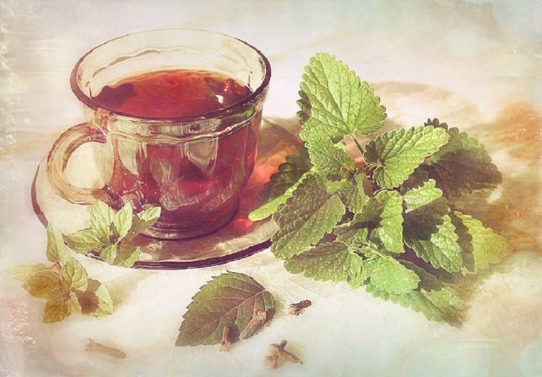 Можно ли мужчинам пить чай с мятой: польза и вред