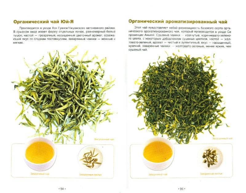 Чай натуральный: основные признаки, как отличить качественный продукт