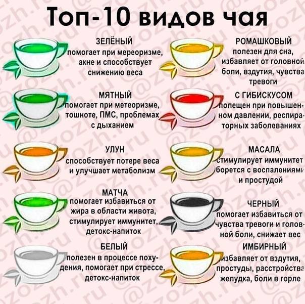 Сколько можно пить чая в день?