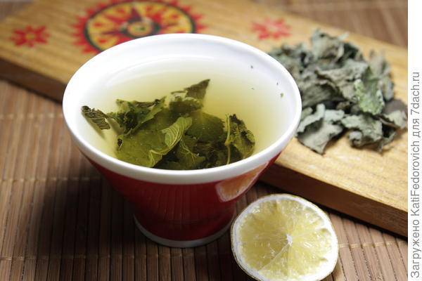 Чай с базиликом: чем полезен и чем вреден. лечебные свойства чая с базиликом