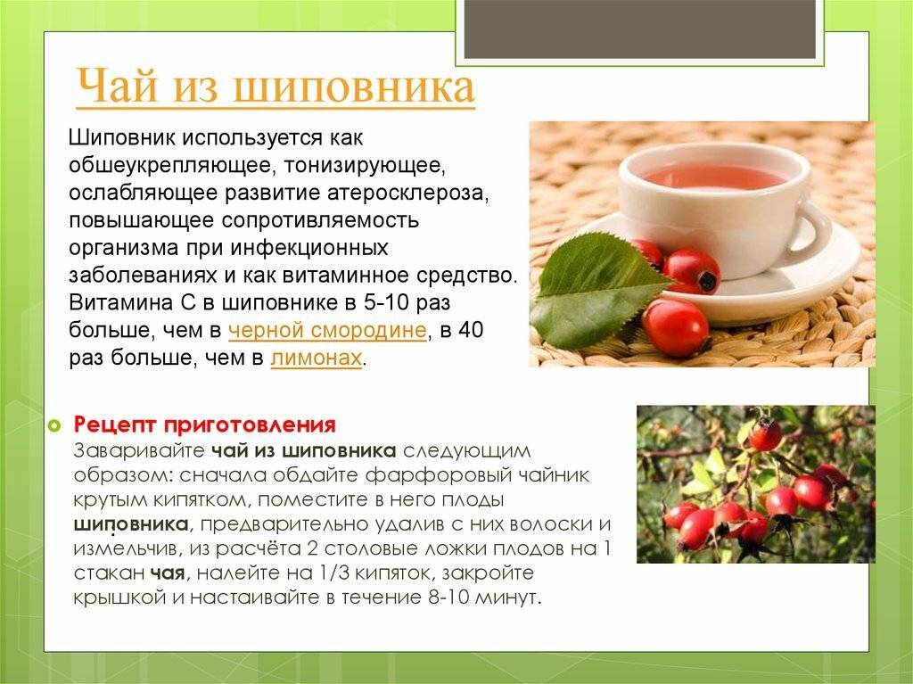 Как ферментировать листья вишни для чая в домашних условиях • siniy-chay.ru