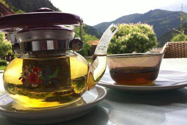 Мурсальский чай (болгарский): полезные свойства, рецепты от болезней