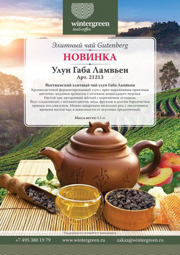 Что такое чай габа: свойства, как заваривать