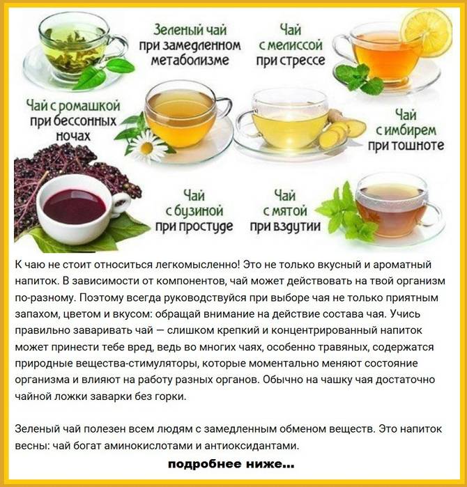 Какой чай полезнее: черный или зеленый и в чем разница, отличия