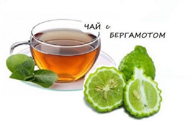 Чай с бергамотом: польза и вред. что нужно знать?