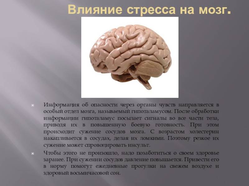 Влияние кофе на мозг и мозговую деятельность человека