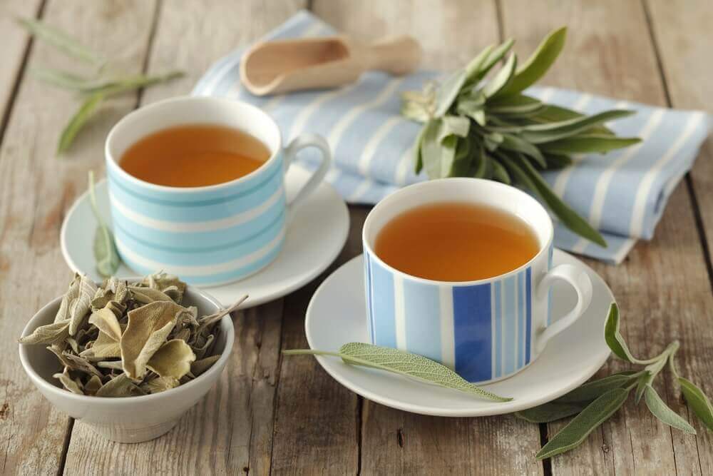 Целебный чай с шалфеем — домашние  рецепты