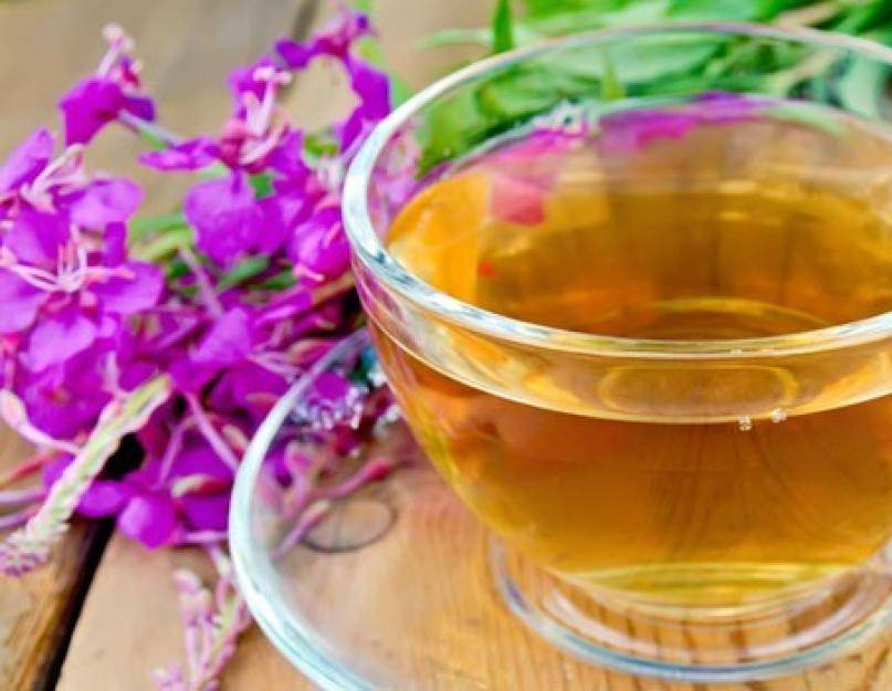 Чай из сосновых иголок польза и вред для организма