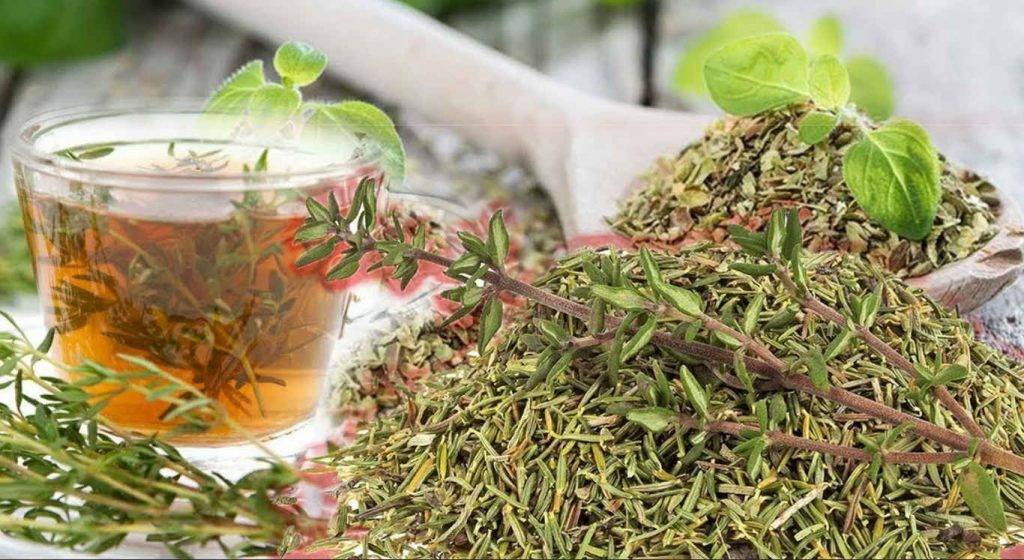 Фенхелевый чай: что это, чем полезен и чем может быть вреден